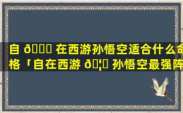 自 🐛 在西游孙悟空适合什么命格「自在西游 🦋 孙悟空最强阵容推荐」